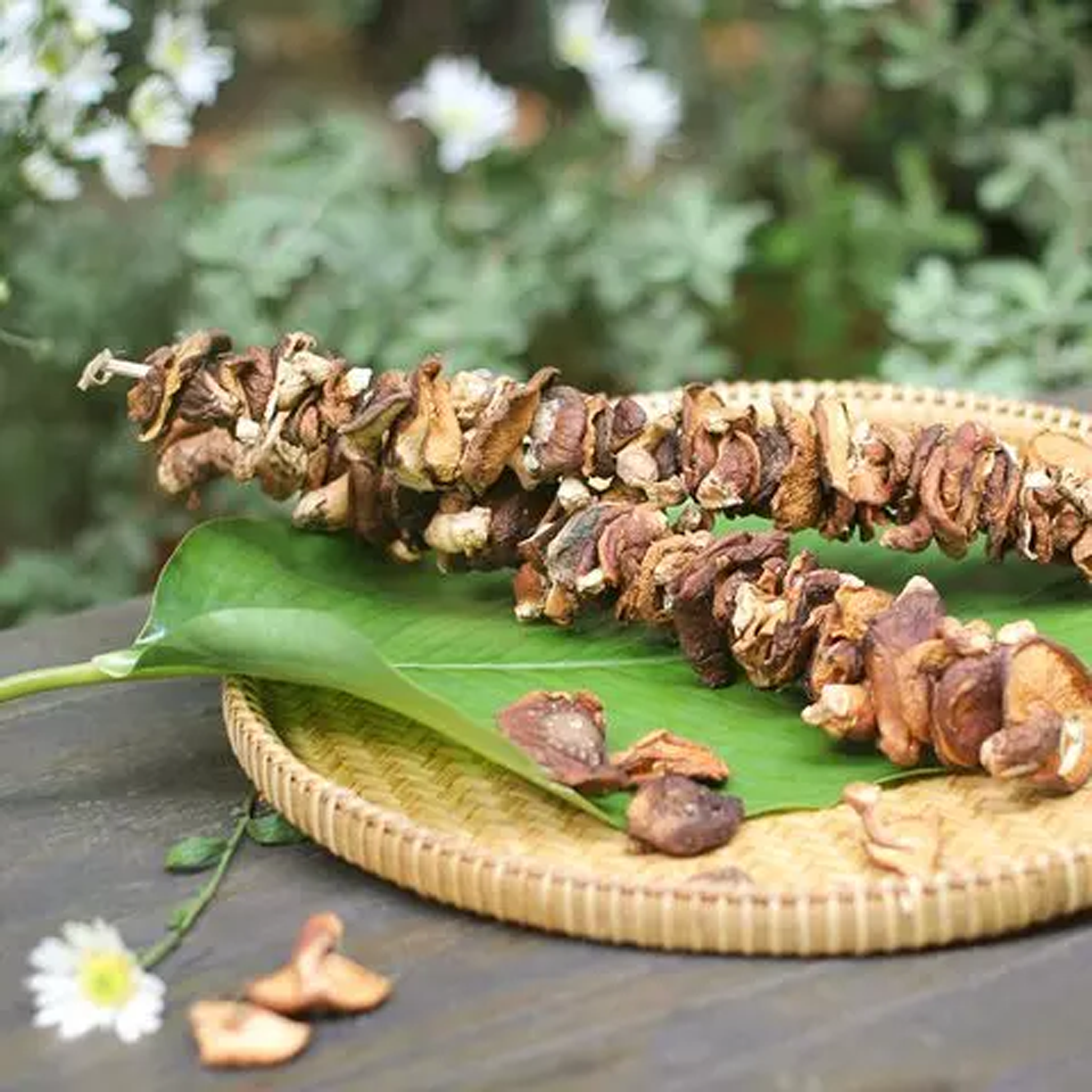 Nấm hương rừng Tây Bắc là gì? Nấm hương rừng Tây Bắc là gì?