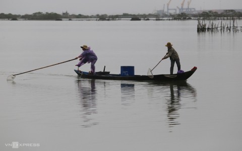 Đánh bắt sứa trên sông Trường Giang